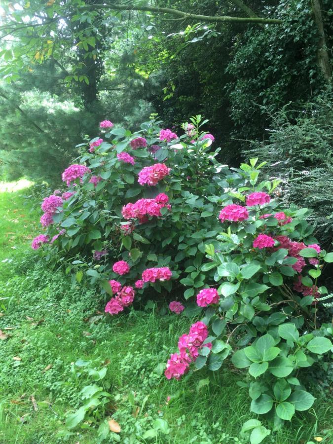 Nature, Mer, Golf & Decouvertes... 普卢阿 外观 照片